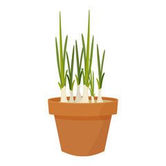 Pot with grown green onions, vector illustration