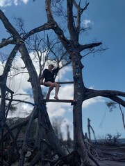 Woman on tree