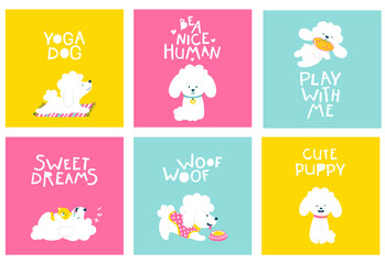 Fototapeta na wymiar Puppies Dog. Set of friendly postcards with a poodle. Vector cartoon illustration of a white animal on bright backgrounds in a simple childish hand-drawn style