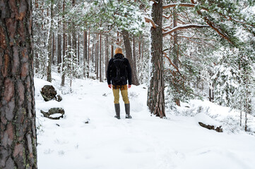 Lonely hiker in snowy forest