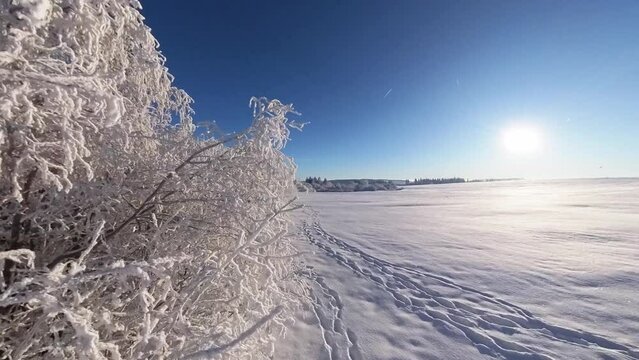 zauberhaft vereiste sonnige Winterlandschaft im Morgenlicht, Winterwunderland, Winterzauber, vereiste B&auml;ume, Schnee, K&auml;lte, Raureif, Natur, Idylle, Frost 
