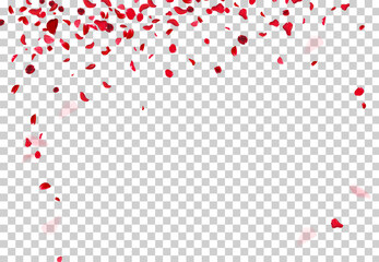 Red rose petals falling in the air on white romantic vector card. Heart wedding celebration design. Love backdrop
