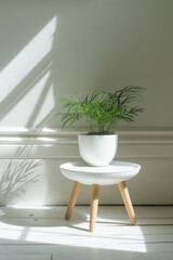 Indoor plant in white vase on white wooden chair with sunlight