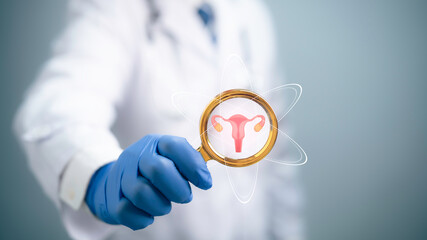Medical worker holding virtual uterus reproductive system. Woman health concept, PCOS, ovary gynecologic and cervix cancer. Medical examination, women's consultation, obstetrics, pregnancy.