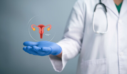 Medical worker holding virtual uterus reproductive system. Woman health concept, PCOS, ovary...