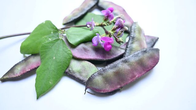 Lablab purpureus vegetable. It&nbsp;is a species of&nbsp;bean&nbsp;in the family&nbsp;Fabaceae. Its other names lablab bean,&nbsp;bonavist bean pea,&nbsp;dolichos bean,&nbsp;seim,&nbsp;lablab,&nbsp;Egyptian kidney bean,&nbsp;Indian bean.