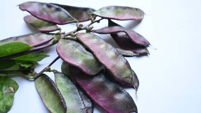 Lablab purpureus vegetable. It&nbsp;is a species of&nbsp;bean&nbsp;in the family&nbsp;Fabaceae. Its other names lablab bean,&nbsp;bonavist bean pea,&nbsp;dolichos bean,&nbsp;seim,&nbsp;lablab,&nbsp;Egyptian kidney bean,&nbsp;Indian bean.
