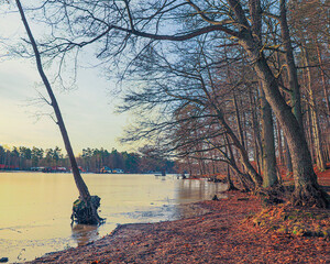 Kaszubskie jeziora © Przemyslaw