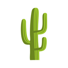 Green cactus plant. Vector image