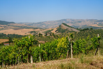 Country landscape near Gambatesa and Jelsi, Molise, Italy