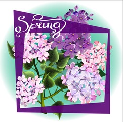 Spring invitation card with branch of lilac