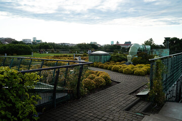 Garden on the roof of the library in Warsaw. Poland