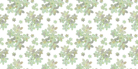 Seamless floral pattern. Delicate abstract watercolor flowers on a white background in digital processing, for textiles, packaging, wallpaper