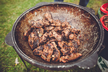 A large cast iron cauldron filled with cooking meat over an open fire, isolated on white background.