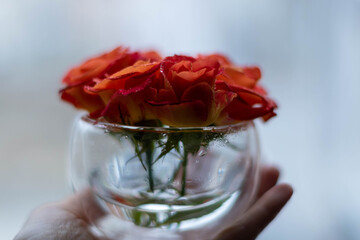A bouquet of flowers in the hand on the palm as a gift, card for February 14, love and peace, Valentine's Day, March 8, wedding, birthday, Mother's Day, blurred background, bokeh.
