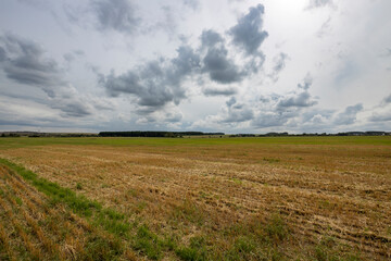 Obraz premium Scenic shot of sky with clouds over autumn field with dry grass, cool for background
