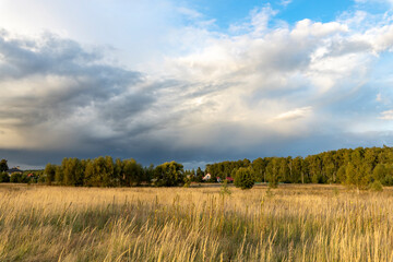 rural landscape with meadow grasses, with thunderclouds overhead on a summer evening