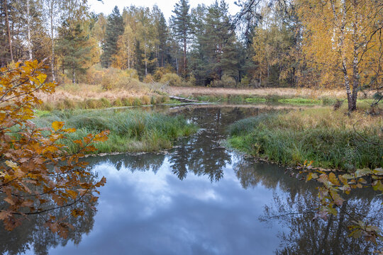 autumn landscape, forest on the river bank with reflection in calm water.