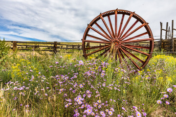 Colorado Wheel
