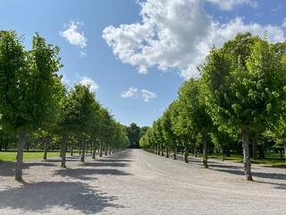 alley in the park