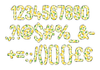 Versatile Collection of Fresh Carrot Numbers and Punctuation for Various Uses