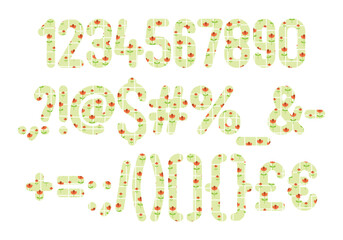 Versatile Collection of Spring Florals Numbers and Punctuation for Various Uses