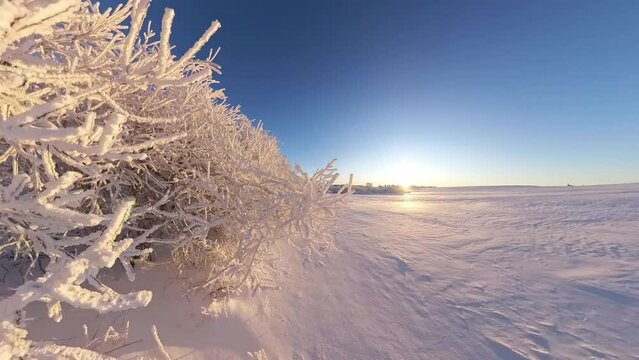 zauberhaft vereiste sonnige Winterlandschaft im Morgenlicht, Winterwunderland, Winterzauber, vereiste B&auml;ume, Schnee, K&auml;lte, Raureif, Natur, Idylle, Frost 
