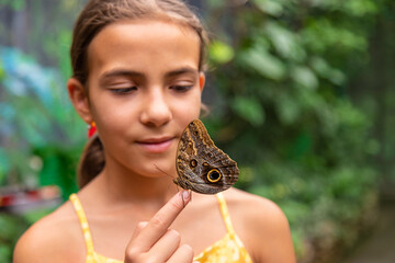 A child holds a beautiful butterfly. Selective focus.