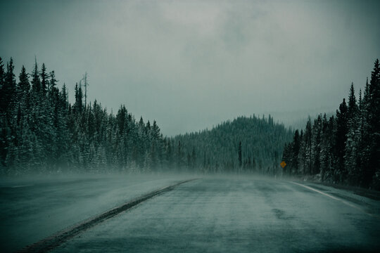 road in the fog © Inna Zolenko