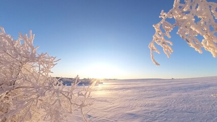 zauberhaft vereiste sonnige Winterlandschaft im Morgenlicht, Winterwunderland, Winterzauber,...