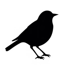 Black Color Silhouette of a European Robin: Simple and Elegant

