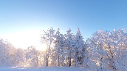zauberhaft vereiste sonnige Winterlandschaft im Morgenlicht, Winterwunderland, Winterzauber, vereiste Bäume, Schnee, Kälte, Raureif, Natur, Idylle, Frost 
