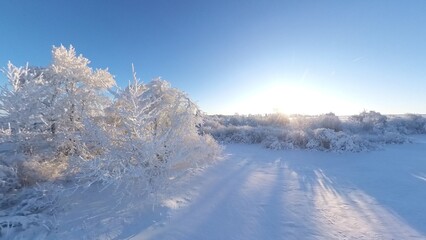 zauberhaft vereiste sonnige Winterlandschaft im Morgenlicht, Winterwunderland, Winterzauber, vereiste Bäume, Schnee, Kälte, Raureif, Natur, Idylle, Frost 