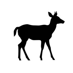 Black Color Silhouette of a Muntjac Deer Simple