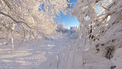 zauberhaft vereiste sonnige Winterlandschaft im Morgenlicht, Winterwunderland, Winterzauber, vereiste Bäume, Schnee, Kälte, Raureif, Natur, Idylle, Frost 
