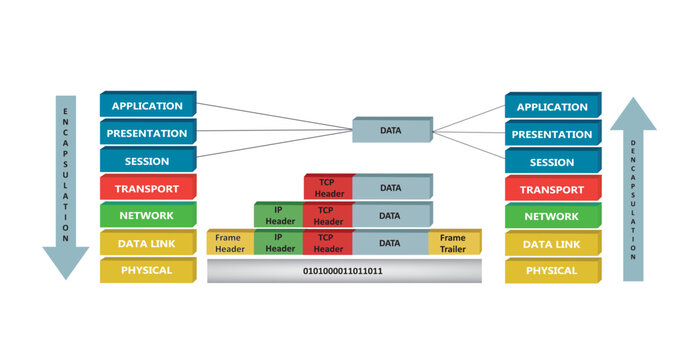 Encapsulation and deencapsulation proces in OSI reference model, vector