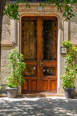 Fototapeta na wymiar Charming Entrance Number 17 Door plants