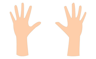 Two Hand icon vector isolated on white background. Vector illustration. Eps file 207.
