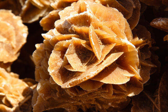 Background. Close up. Raw, natural desert rose. Tunisia, Africa