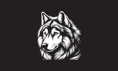 wolf head vector illustration and vectorize image of arabian wolf wolf vector wolf logo wolf patch wolf badge