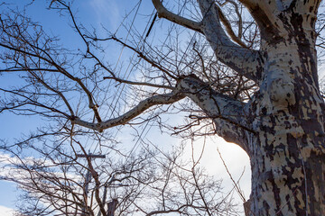 Athens, Attica, Greece