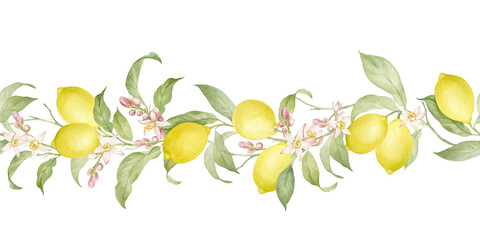 Seamless border of watercolor lemon branches with fragrant flowers and juicy fruits. Hand drawn, isolated