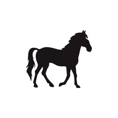 Obraz na płótnie Canvas horse vector silhouette