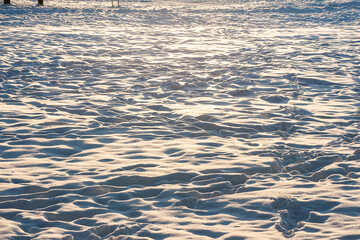 A large number of footprints on a snowy surface well lit by the sun.