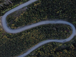 Aerial autumn  view jungle and road 