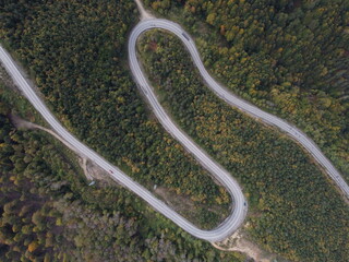 Aerial autumn  view jungle and road 