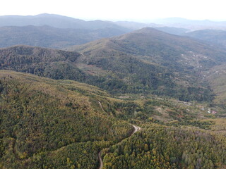 Aerial autumn  view jungle and road 