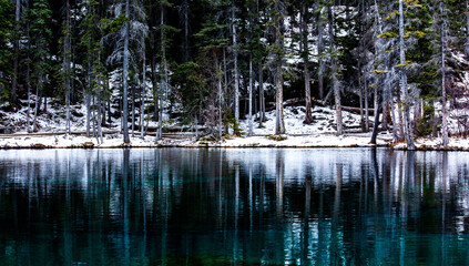 reflection of trees in the water