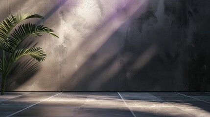 Contemporary shadow play on a textured wall with tropical plant, creating an atmospheric and modern interior design element