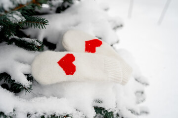 Warm white mittens with a heart on a snow-covered branch of a fir tree in the park, a place for...